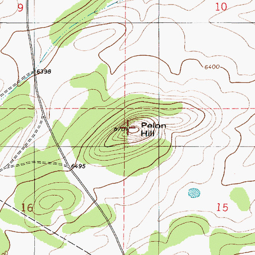 Topographic Map of Pelon Hill, NM
