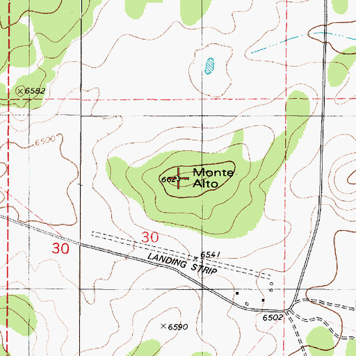 Topographic Map of Monte Alto, NM