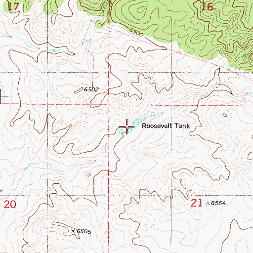 Topographic Map of Roosevelt Tank, NM