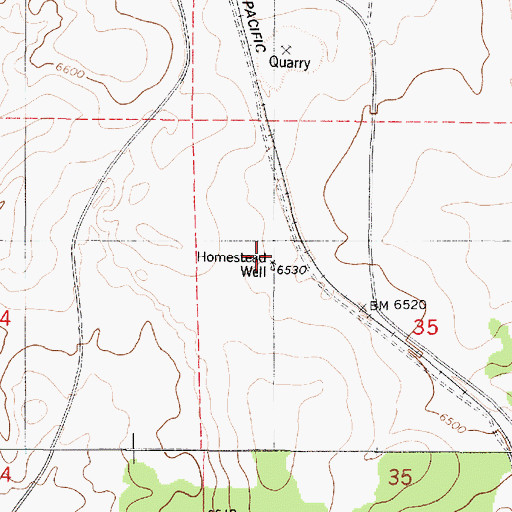 Topographic Map of Homestead Well, NM