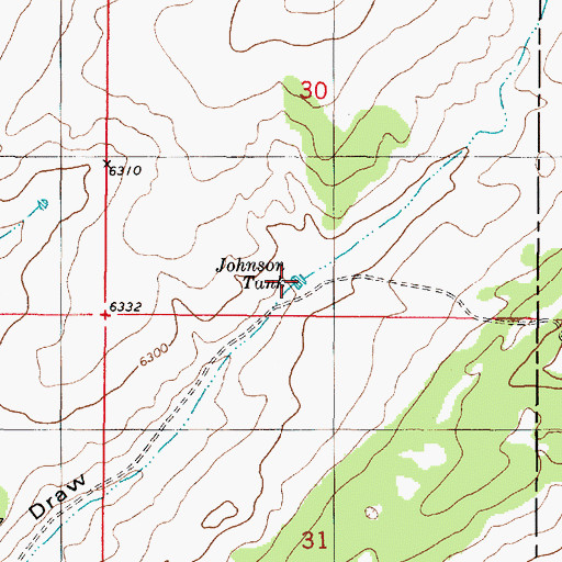 Topographic Map of Johnson Tank, NM