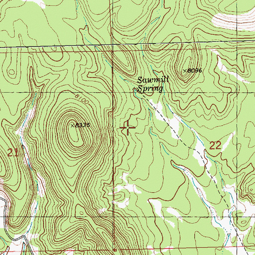 Topographic Map of Sawmill Spring, NM