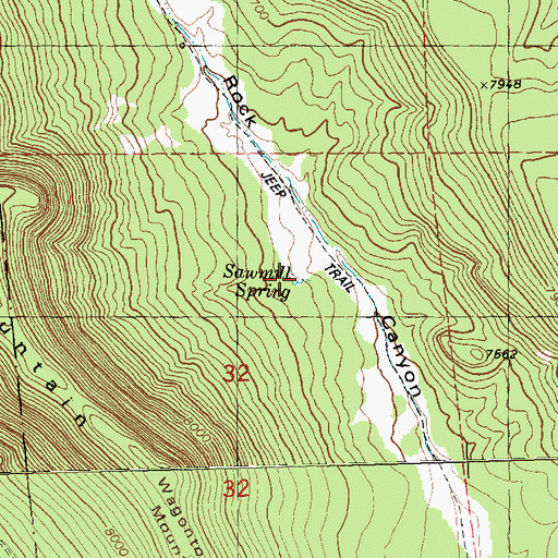 Topographic Map of Sawmill Spring, NM