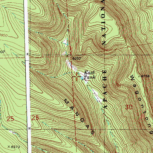 Topographic Map of East Tank, NM