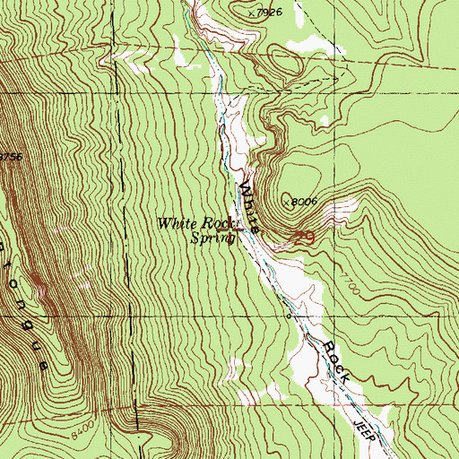 Topographic Map of White Rock Spring, NM