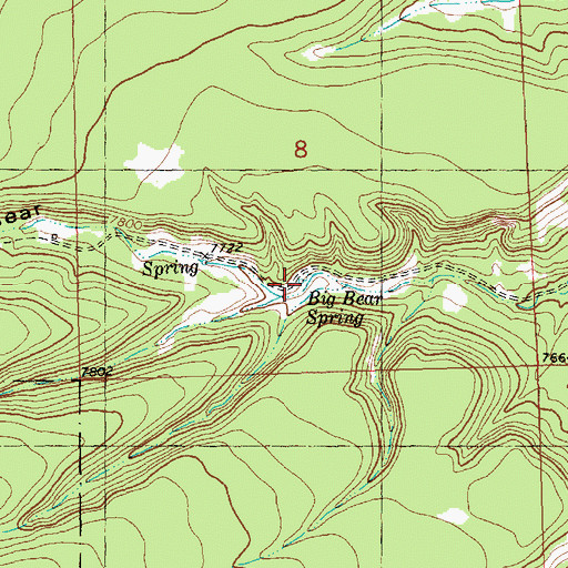 Topographic Map of Big Bear Spring, NM