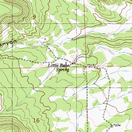 Topographic Map of Little Bear Spring, NM