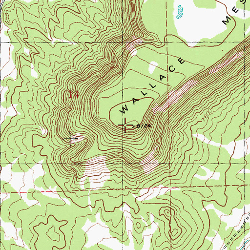 Topographic Map of Wallace Mesa, NM