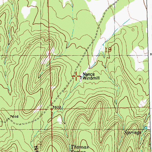 Topographic Map of Nauce Windmill, NM