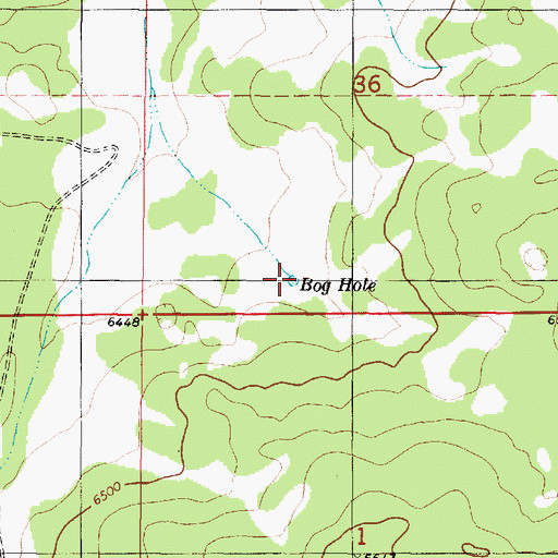 Topographic Map of Bog Hole, NM