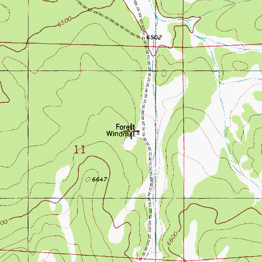 Topographic Map of Forest Windmill, NM