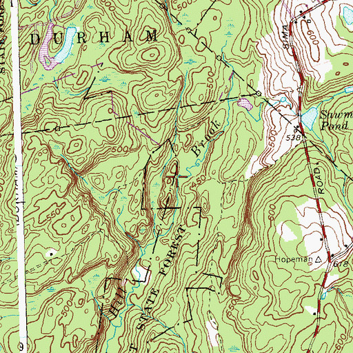 Topographic Map of Bunker Hill, CT