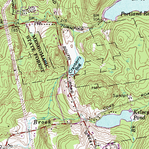 Topographic Map of Cranberry Bog, CT