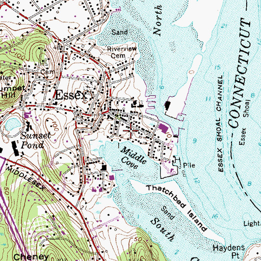 Topographic Map of Essex Town Park, CT