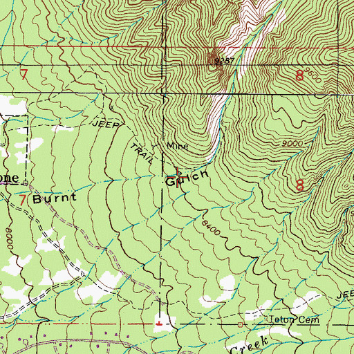 Topographic Map of Burnt Gulch, CO