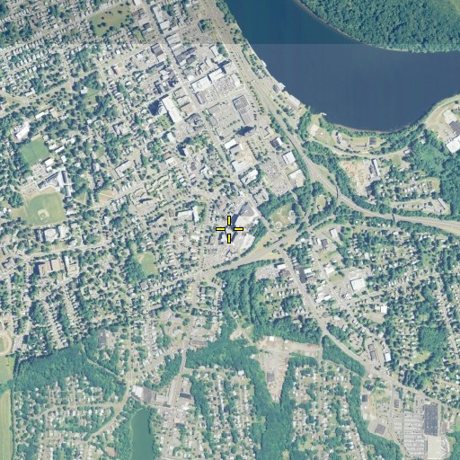 Aerial/Satellite Image of Union Green, CT