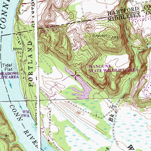 Topographic Map of Wangunk State Wildlife Area, CT