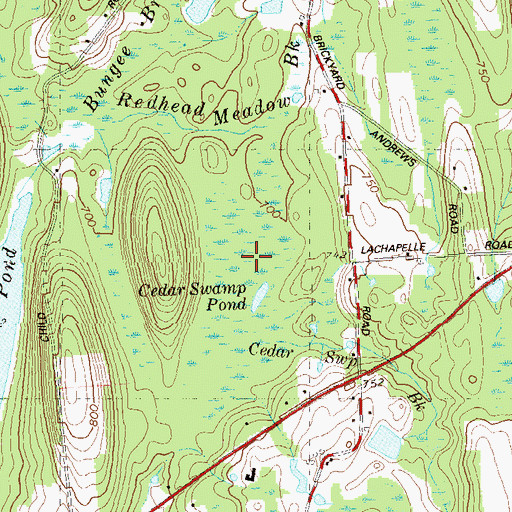Topographic Map of Cedar Swamp, CT