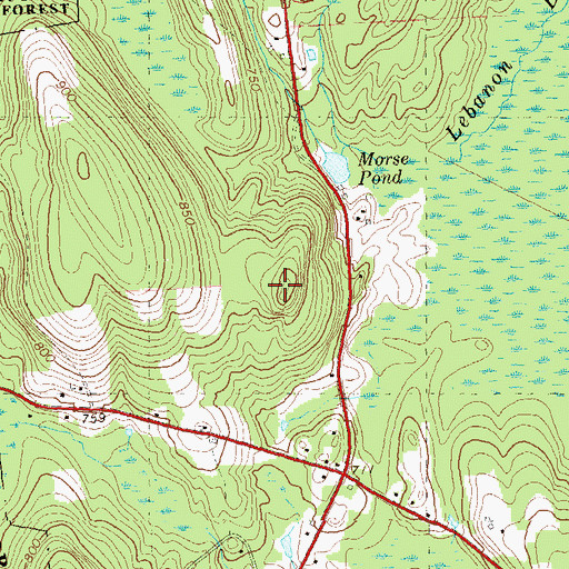 Topographic Map of Chestnut Hill, CT
