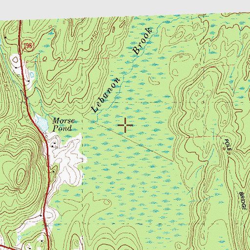 Topographic Map of Great Cedar Swamp, CT