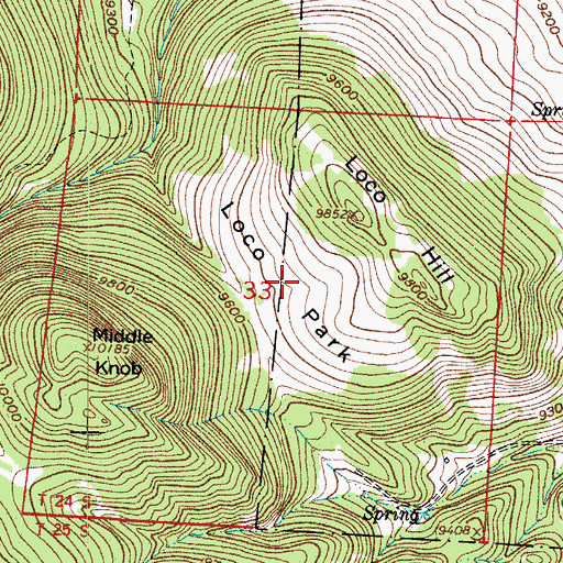 Topographic Map of Loco Park, CO