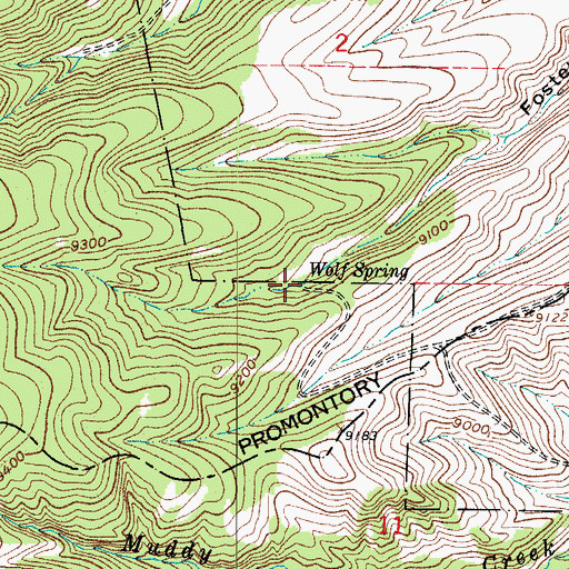 Topographic Map of Wolf Spring, CO