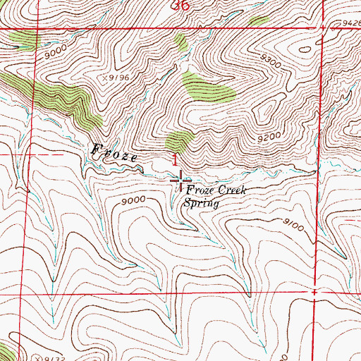 Topographic Map of Froze Creek Spring, CO