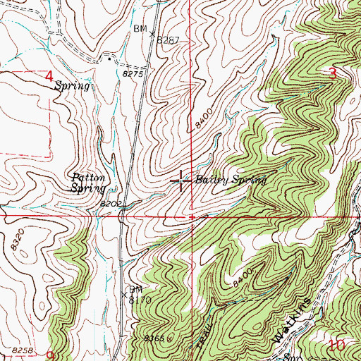 Topographic Map of Bailey Spring, CO