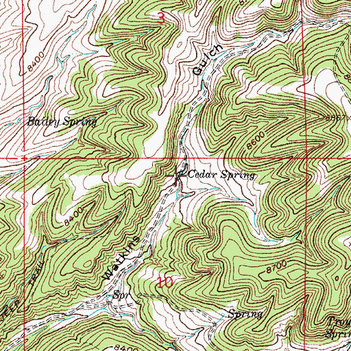 Topographic Map of Cedar Spring, CO