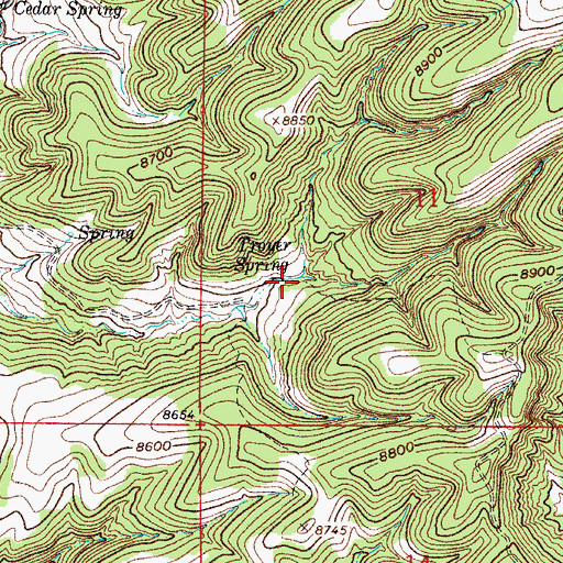 Topographic Map of Troyer Spring, CO