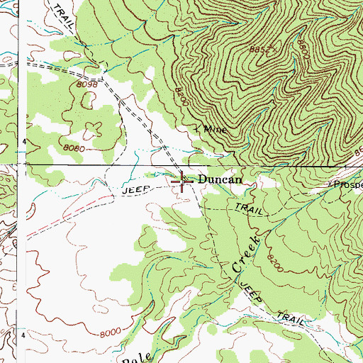 Topographic Map of Duncan, CO