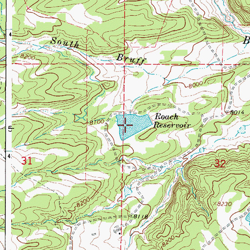 Topographic Map of Roach Reservoir, CO