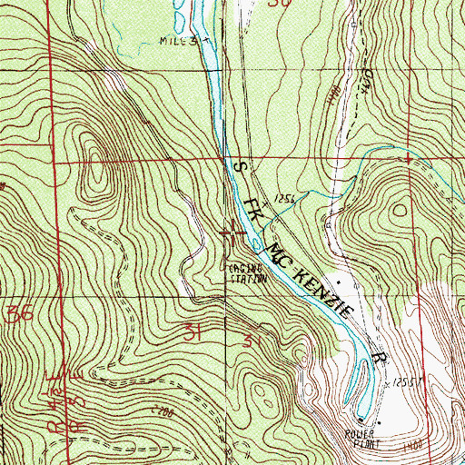 Topographic Map of Cougar Creek Recreation Site, OR