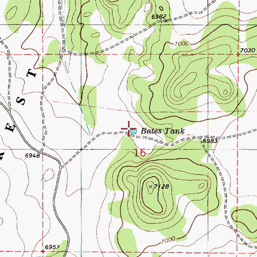 Topographic Map of Bates Tank, NM