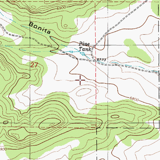 Topographic Map of Pine Tank, NM