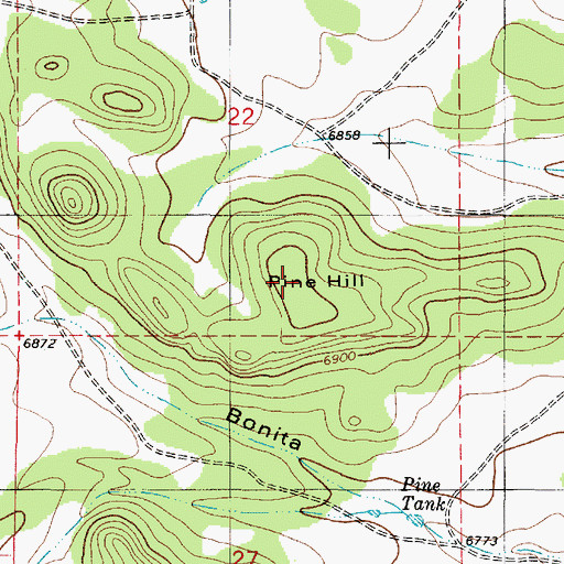 Topographic Map of Pine Hill, NM