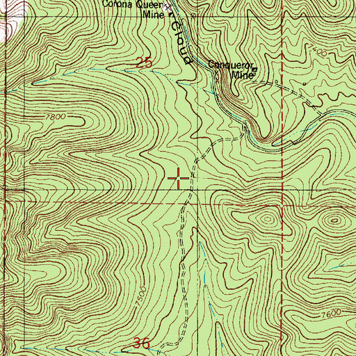 Topographic Map of South Saddle Trick Tank, NM
