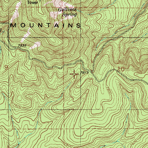 Topographic Map of Gallinas Spring, NM