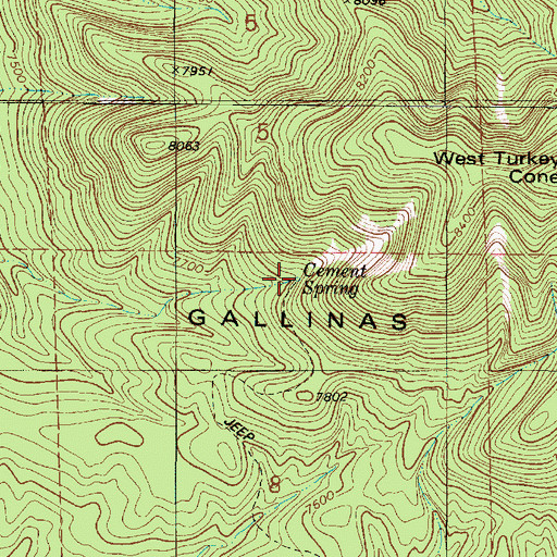 Topographic Map of Cement Spring, NM