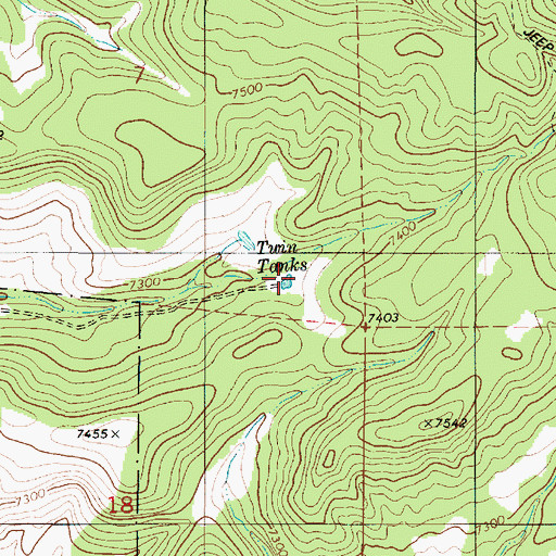Topographic Map of Twin Tanks, NM