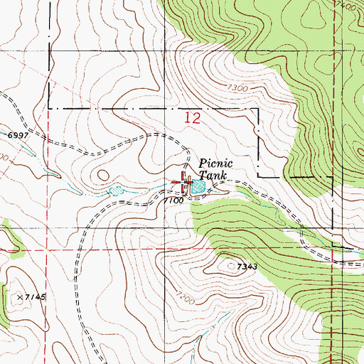 Topographic Map of Picnic Tank, NM