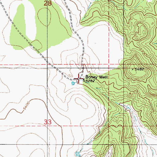 Topographic Map of Boney Well, NM