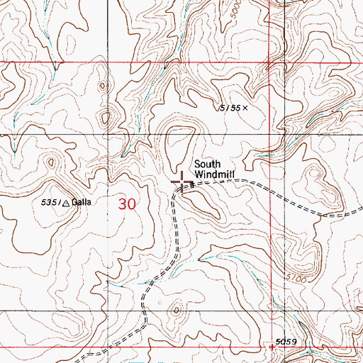 Topographic Map of South Windmill, NM
