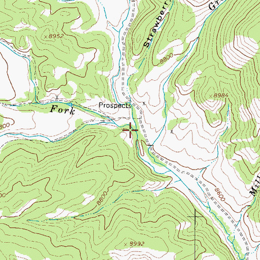 Topographic Map of Middle Fork Placer Creek, CO