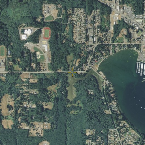 Aerial/Satellite Image of Carpenter Creek, WA