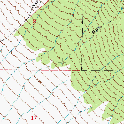 Topographic Map of Box Canyon, CO