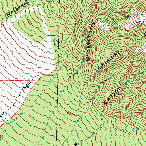Topographic Map of Chokecherry Canyon, CO