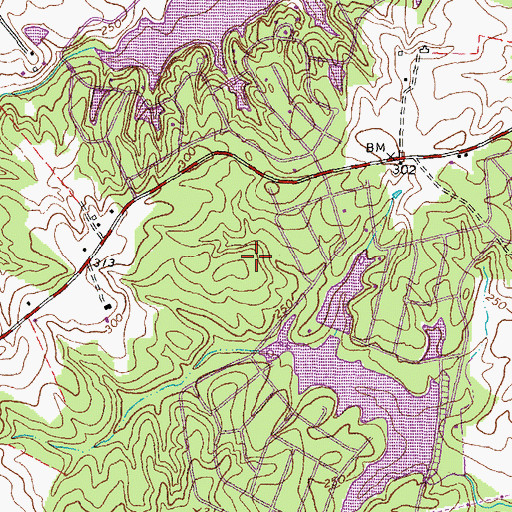 Topographic Map of Madison District, VA
