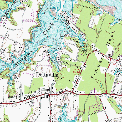 Topographic Map of Pine Top District, VA