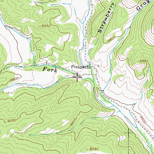 Topographic Map of South Fork Placer Creek, CO